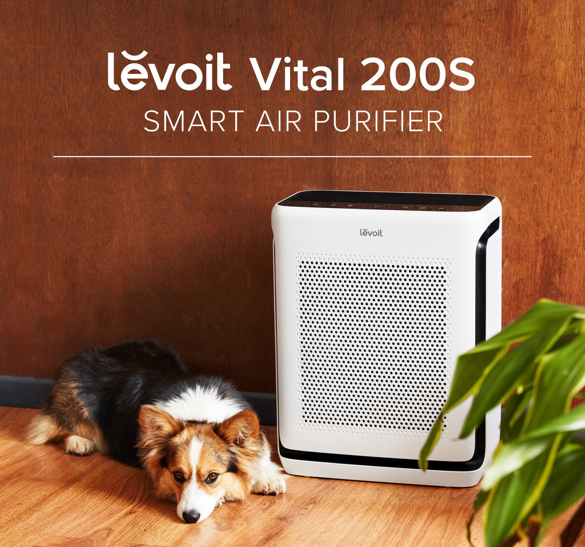 LEVOIT Vital 200S Smart True HEPA Air Purifier